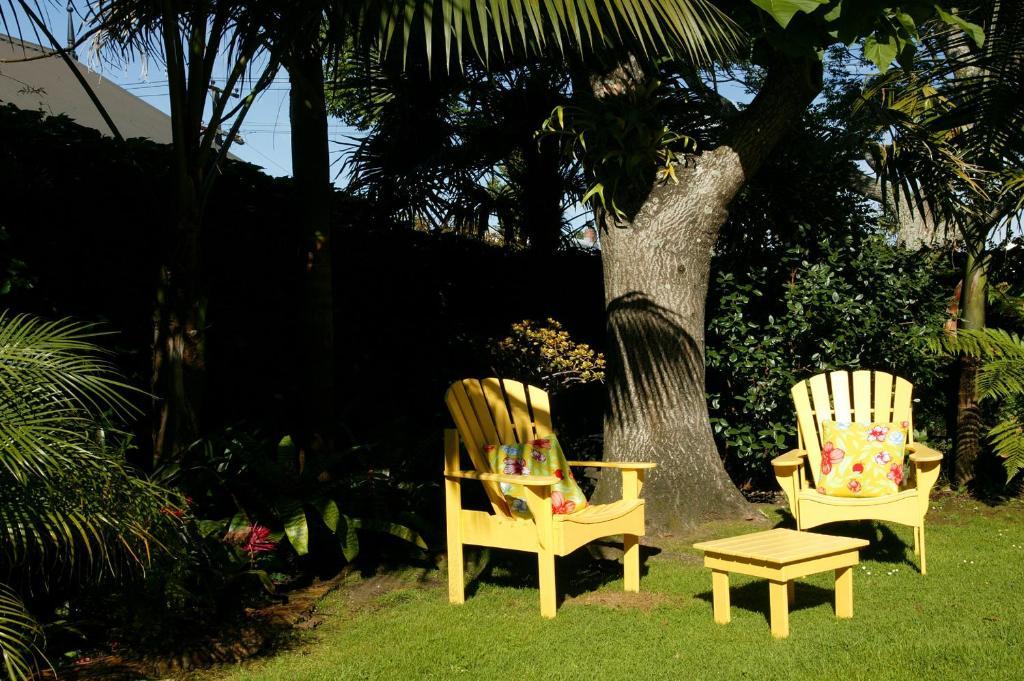 Eden Park Bed And Breakfast Inn Auckland Bagian luar foto